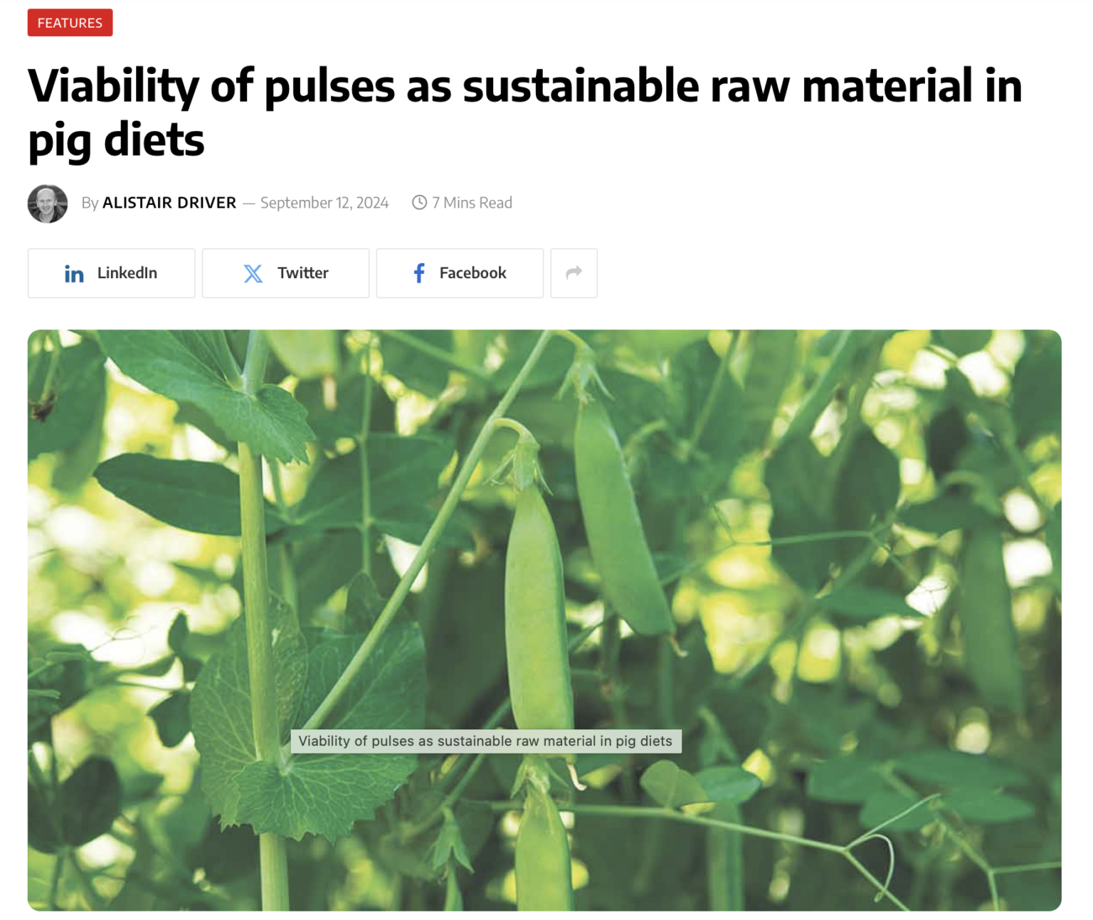Viability of pulses as raw material in pig diets
